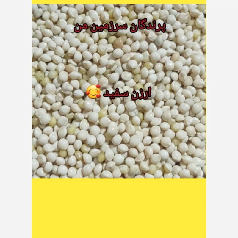 ارزن مروارید 500گرم درجه یک مخصوص پرنده