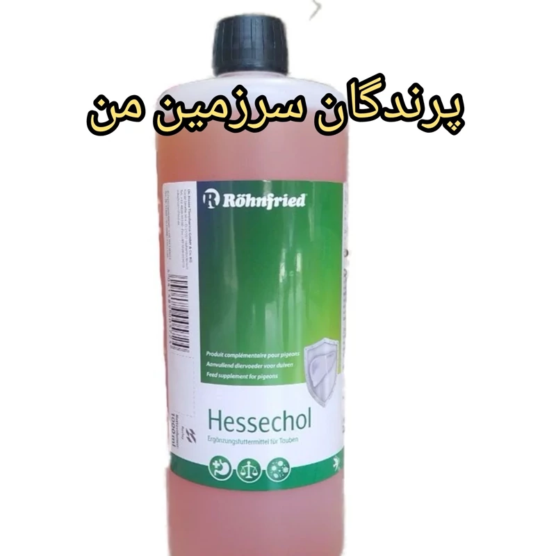 کبدشور هسکول رانفرید آلمان پرنده 30میل