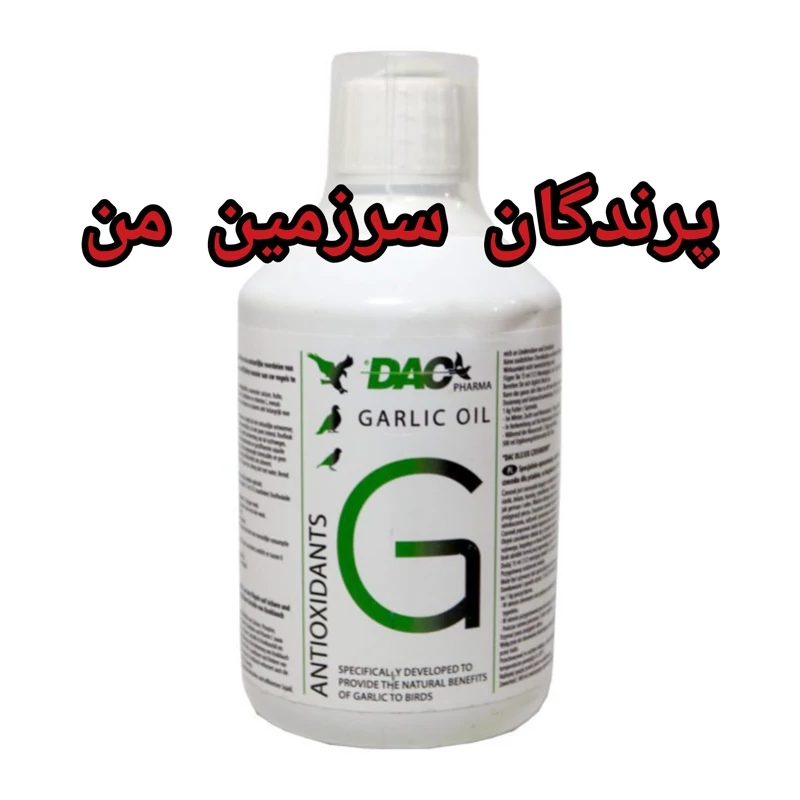 روغن سیر پرندگان داک هلند 10 میل