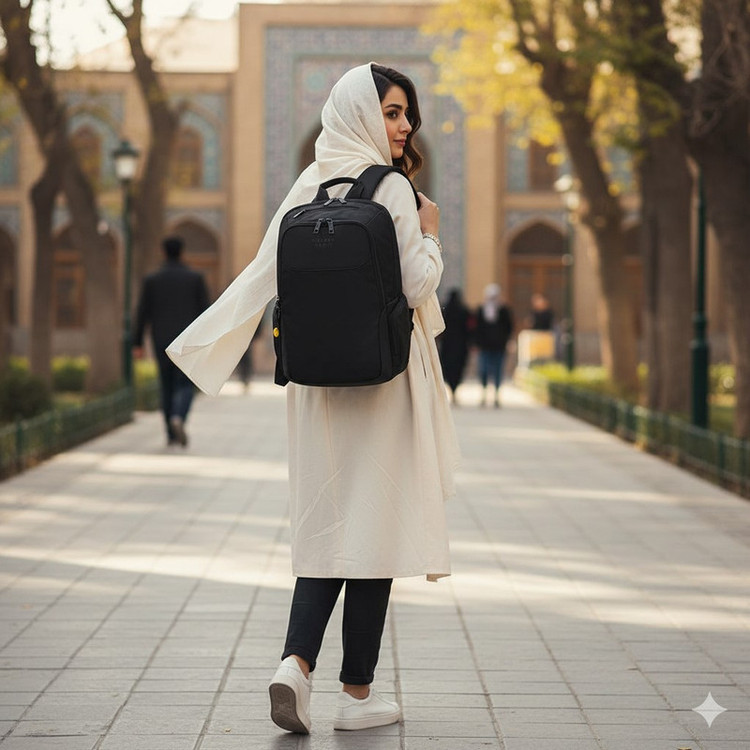 کوله پشتی لپ تاپ دلسی مدل PARVIS PLUS کد 3944602 مناسب برای لپ تاپ تا 13 اینچی