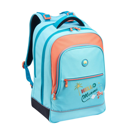 کوله پشتی دلسی مدل BACK TO SCHOOL کد 339262112