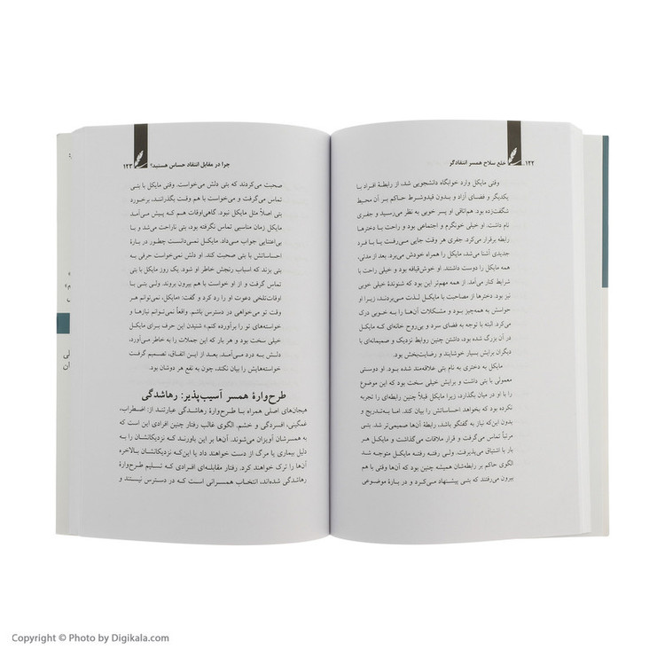 کتاب خلع سلاح همسر انتقادگر اثر میشل اسکین نشر سایه سخن