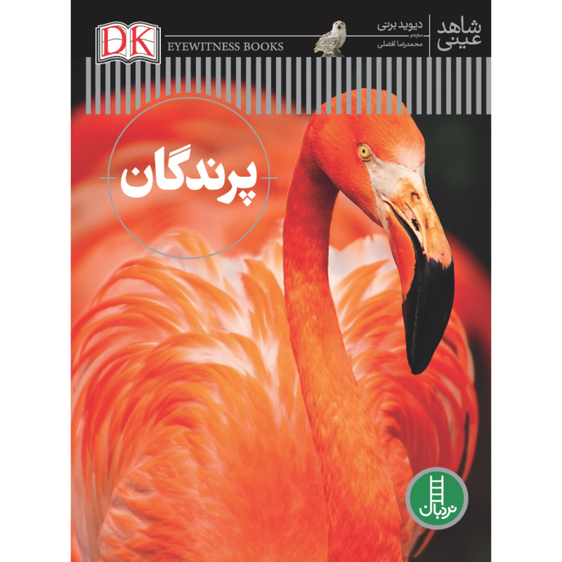 کتاب پرندگان اثر دیوید برنی انتشارات نردبان