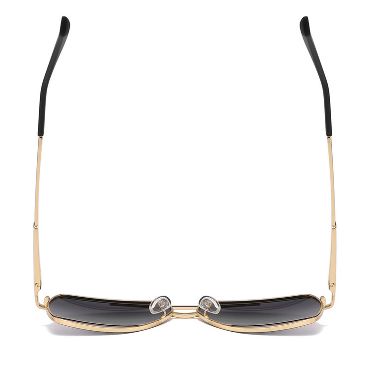عینک آفتابی مردانه آلبرت وگ مدل JS8550C218-P267 Polarized Avantgarde Visionary