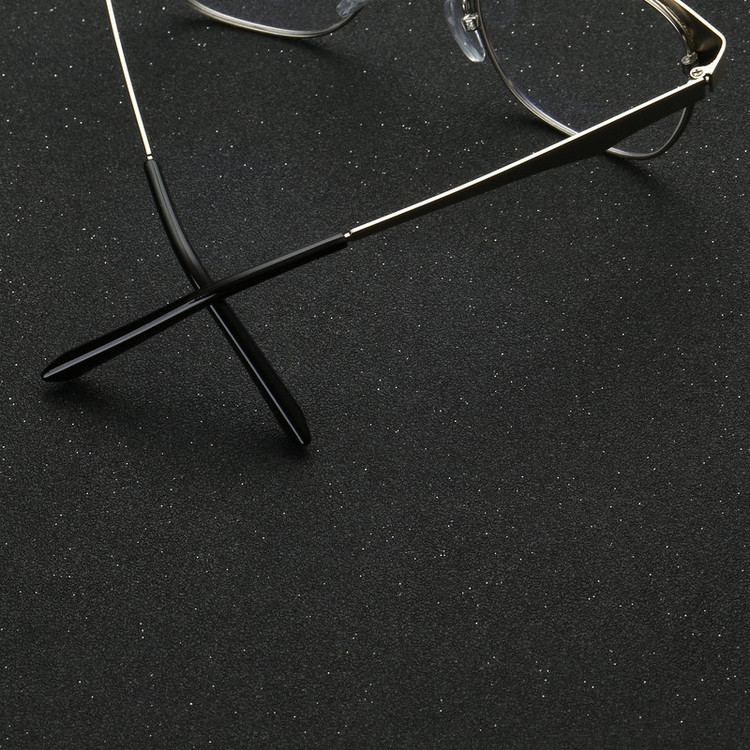 فریم عینک طبی مدل 1608 Brushed Steel