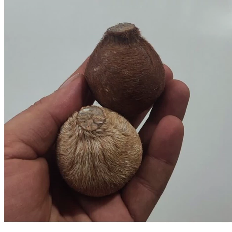 ناف ناف