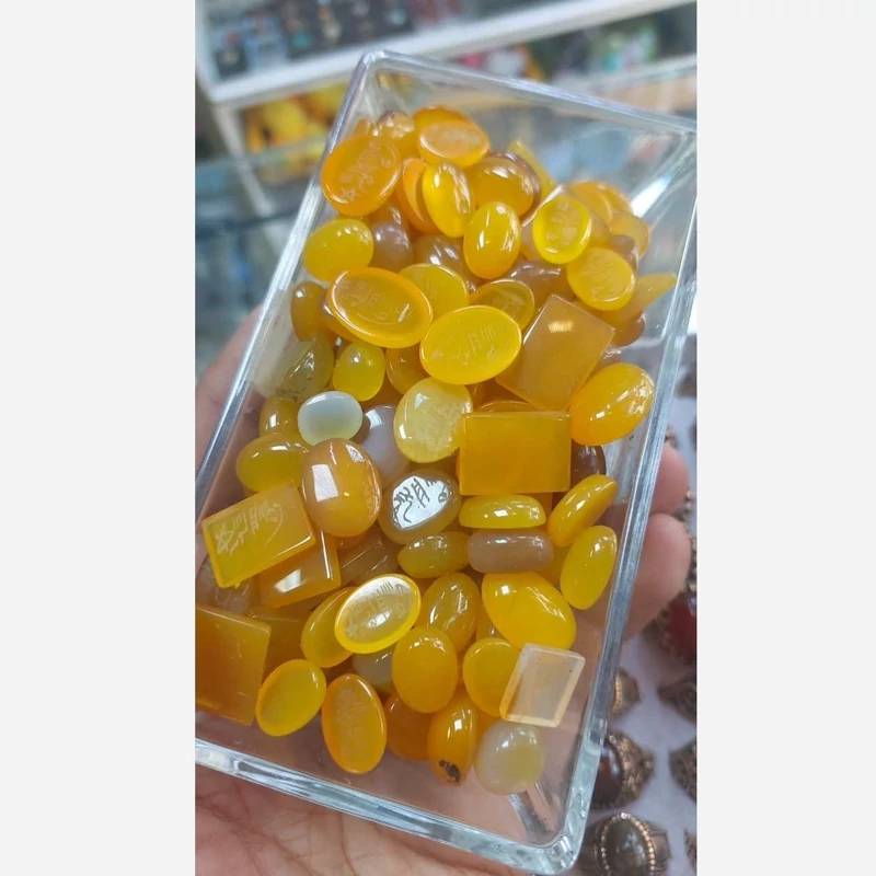 نگین شرف شمس