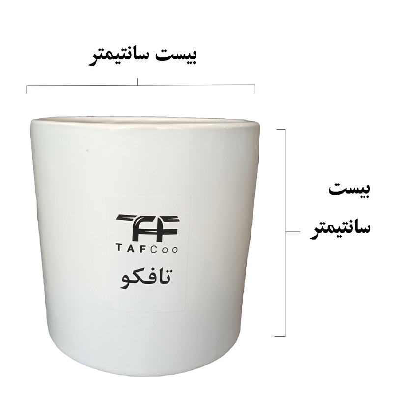 گل طبیعی انتوریوم تافکو مدل صورتی