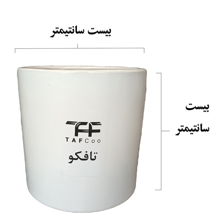 گیاه طبیعی کروتون آکوبا تافکو مدل شمشاد ژاپنی کد 2x