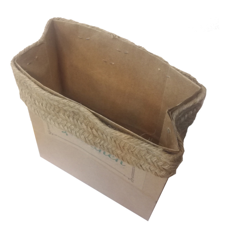 گیاه طبیعی شفلرا کد P.A.017