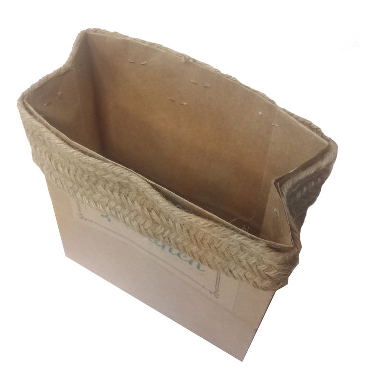 گیاه طبیعی دراسنا کامپکت کد P.A.010