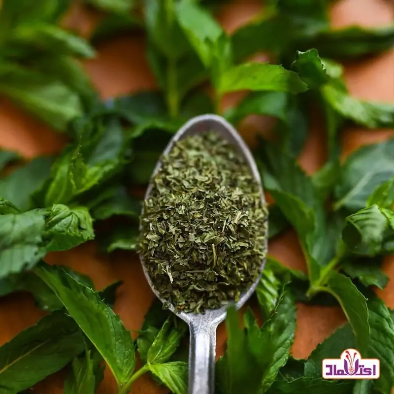 نعنا خشک اعلا 100 گرمی اعتماد(نعنا خرد شده)(نعنا بلغور)