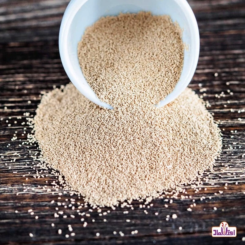 خمیر مایه فوری تازه 100 گرمی اعتماد   ( خمیرمایه فوری )