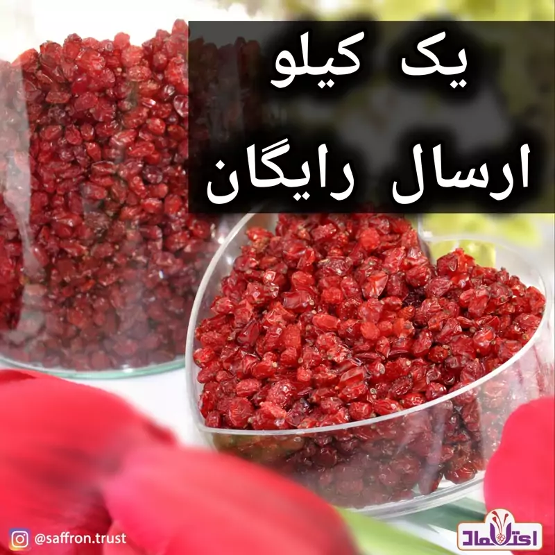 زرشک پفکی اعلا امسالی یک کیلویی رنگ روشن دانه درشت(تخفیف)