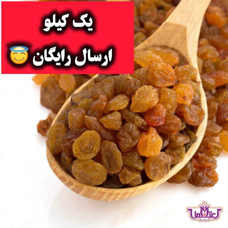 کشمش پلویی اعلا 100 گرمی اعتماد تمیز و نرم(تخفیف دار)