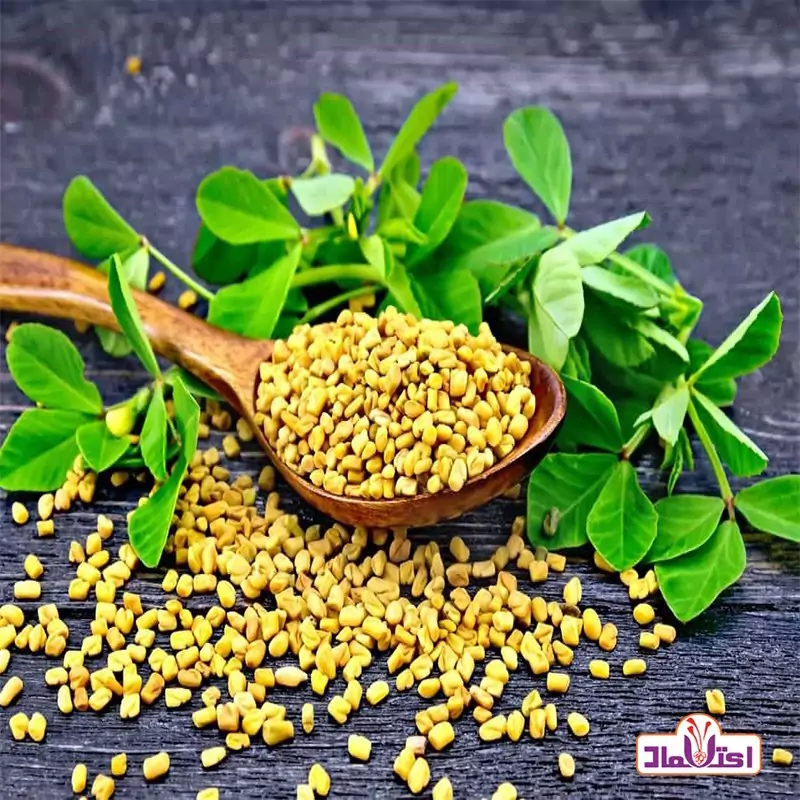 تخم شنبلیله 500 گرمی اعتماد پاک شده و اعلا