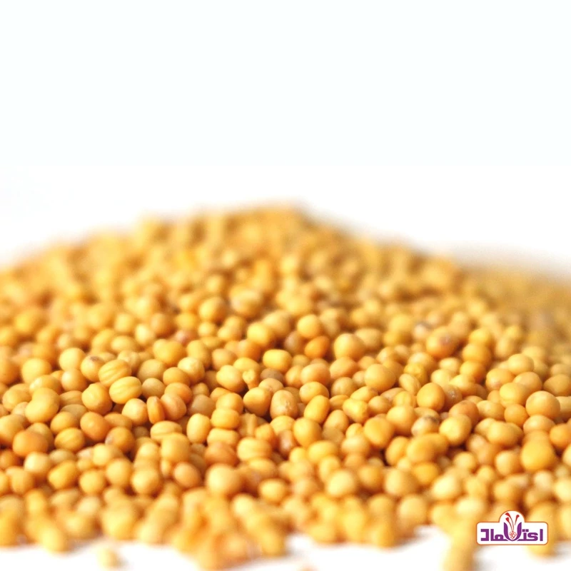 خردل دانه زرد اعلا 250 گرمی اعتماد(دانه خردل ناساب)