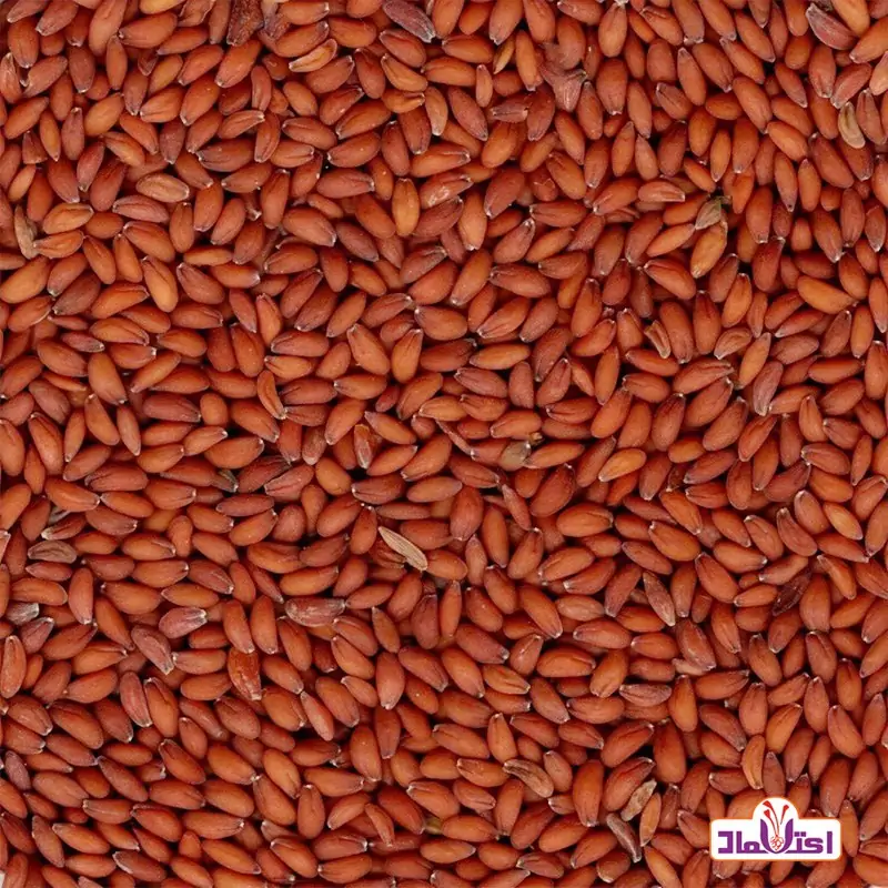 بذر شاهی 100گرمی اعتماد درجه یک و اعلا