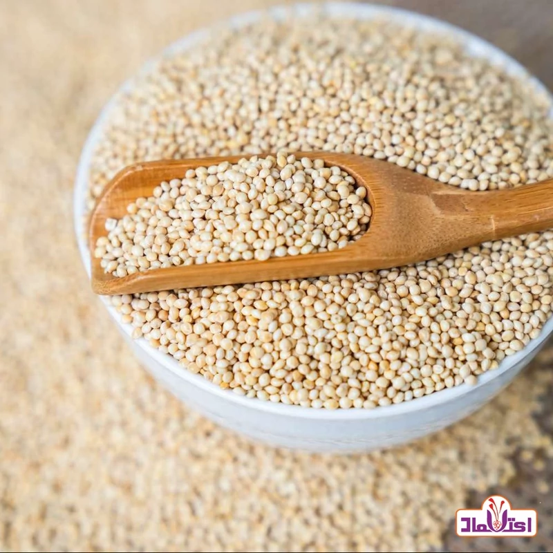 ارزن اعلا 500 گرمی اعتماد مناسب فنج و قناری