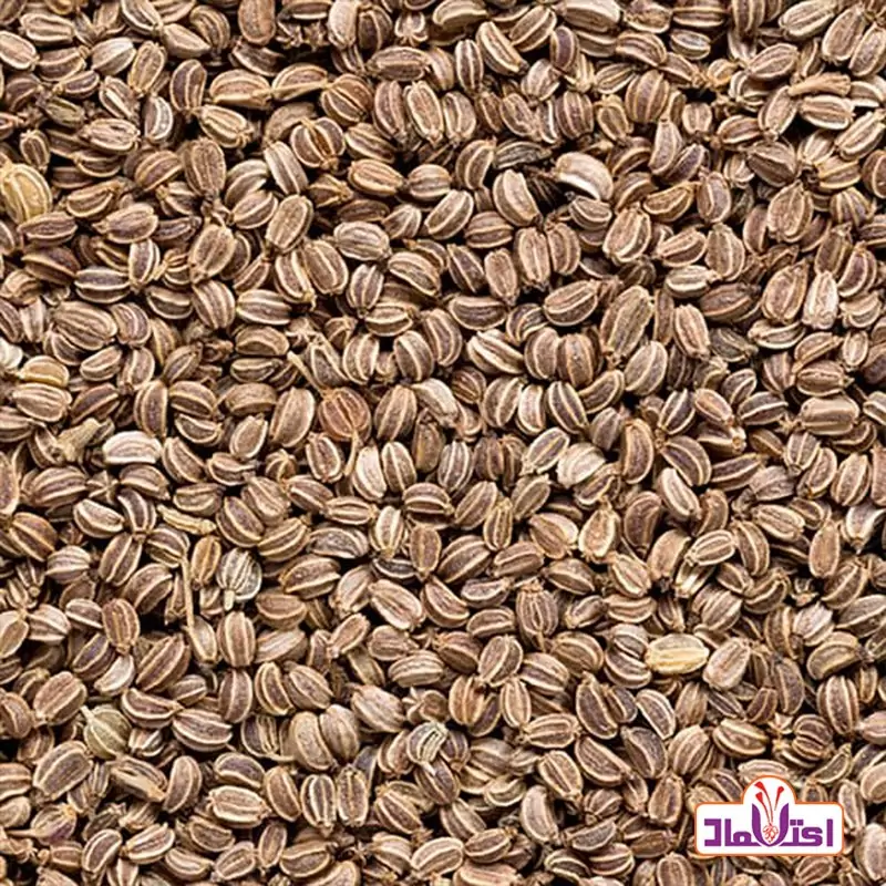 تخم کرفس50 گرمی اعتماد درجه یک و اعلا