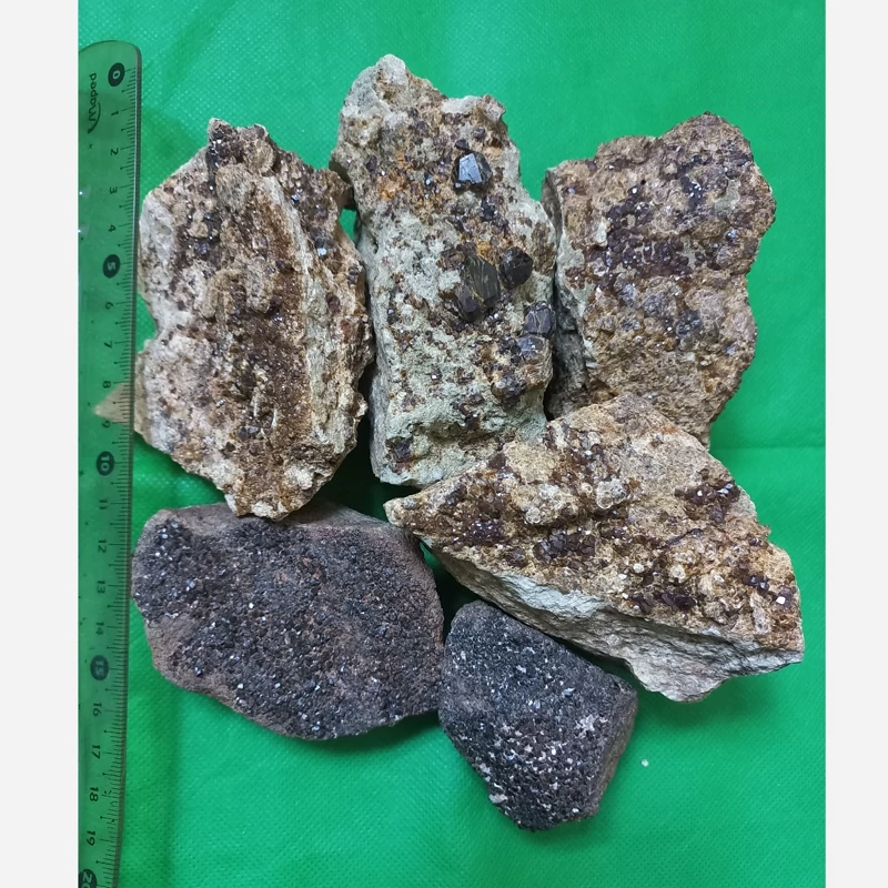 راف گارنت عسلی