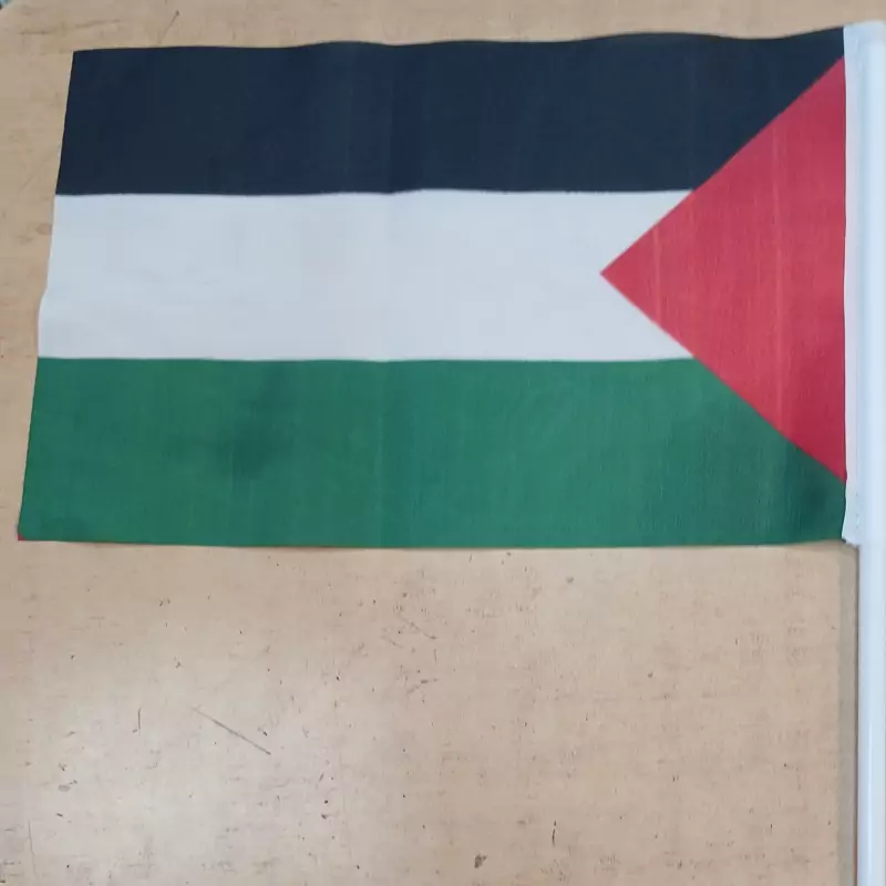 پرچم فلسطین همراه با نی