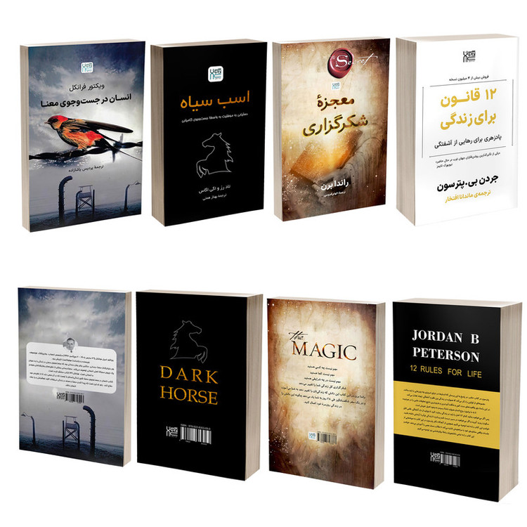 کتاب معجزه شکرگزاری، اسب سیاه، 12 قانون برای زندگی و انسان در جستجوی معنا اثر جمعی از نویسندگان نشر آذرگون 4 جلدی