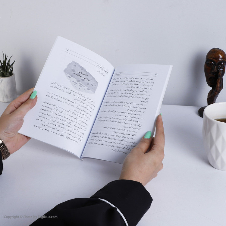 کتاب چه کسی پنیر مرا جابجا کرد؟ اثر اسپنسر جانسون انتشارات تیموری