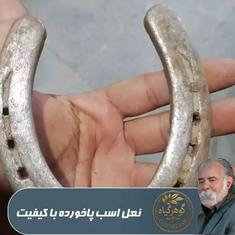 نعل اسب پاخورده با کیفیت