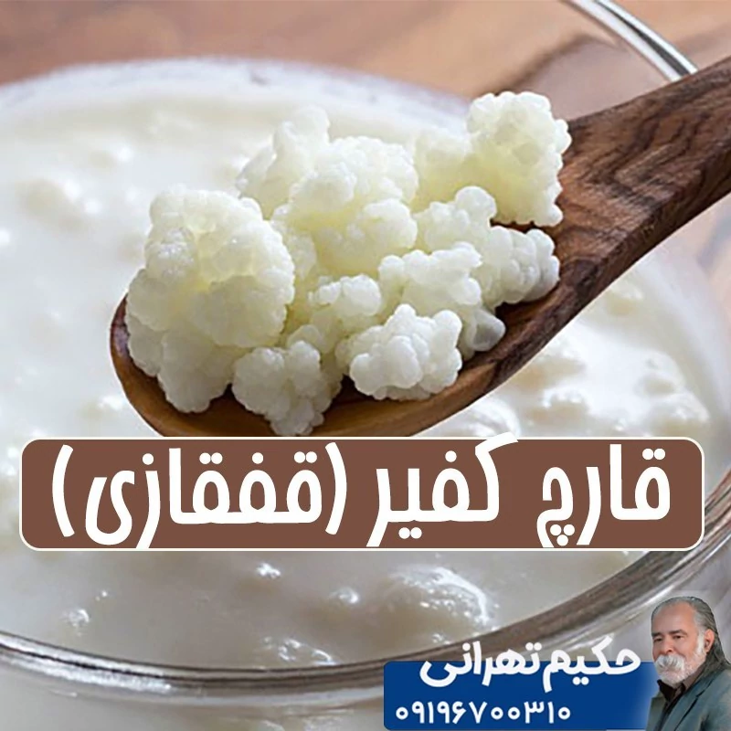 قارچ کفیر قفقازی جوان و مولد 20گرمی(آموزش و مشاوره رایگان)
