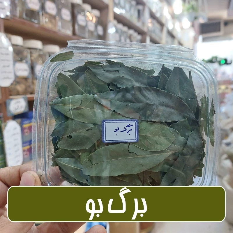 برگ بو درشت و سبز و تازه و سالم