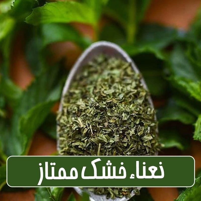 نعناء خشک ممتاز - 100 گرمی