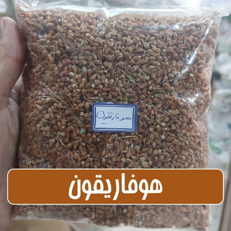 هوفاریقون (هزارچشم یا گل راعی) تمیز شده- 100 گرمی