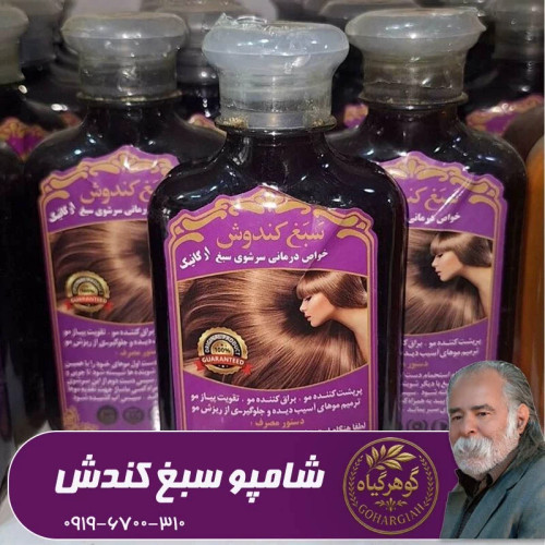 شامپو سبغ کندش اصلی