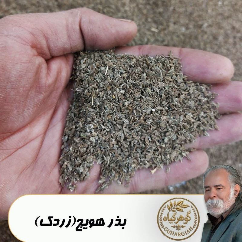 بذر هویج(زردک خوراکی)گوهرگیاه تمیز شده  - 100 گرمی