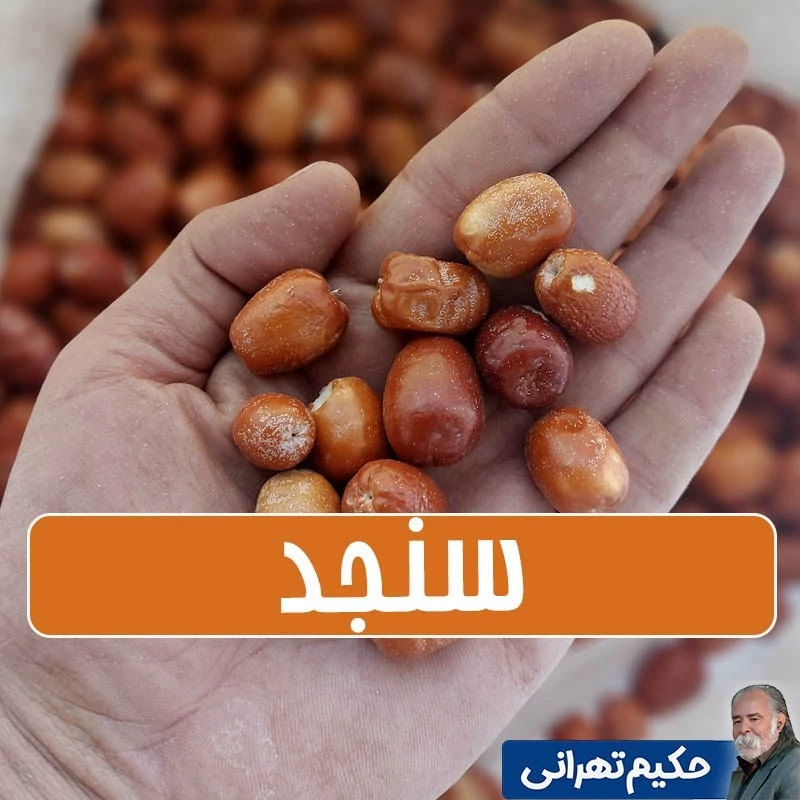 سنجد امسالی ارگانیک تمیز شده سایز متوسط - 1 کیلوگرمی