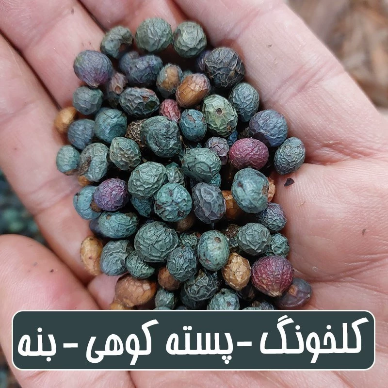 پسته کوهی - بنه ممتاز - 250 گرمی