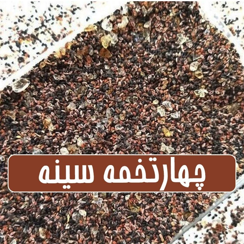 چهارتخمه سینه (ضد سرفه طبیعی)