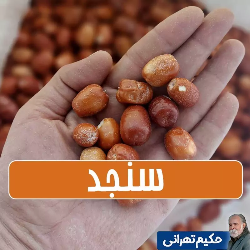 سنجد امسالی ارگانیک تمیز شده سایز متوسط - 500 گرمی