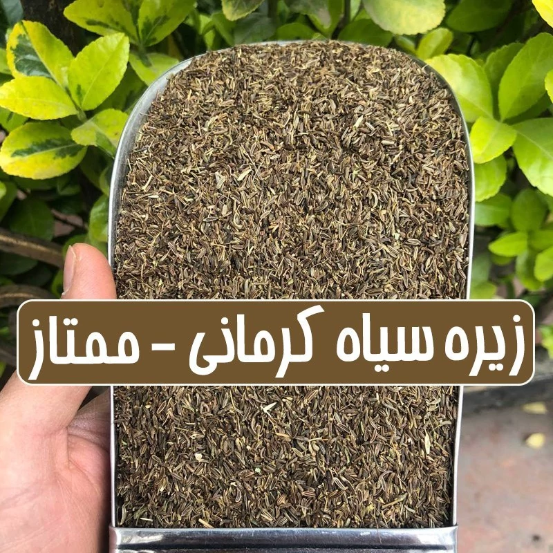 زیره سیاه کوهی تمیز شده - 100گرمی
