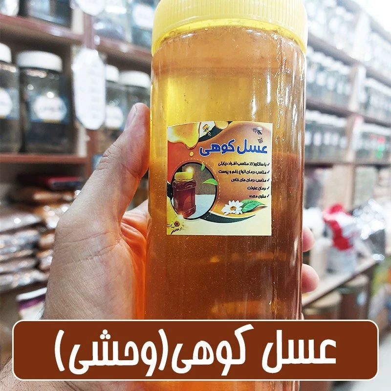 عسل کوهی(الوک - بادام وحشی) دیابتی - 500 گرمی