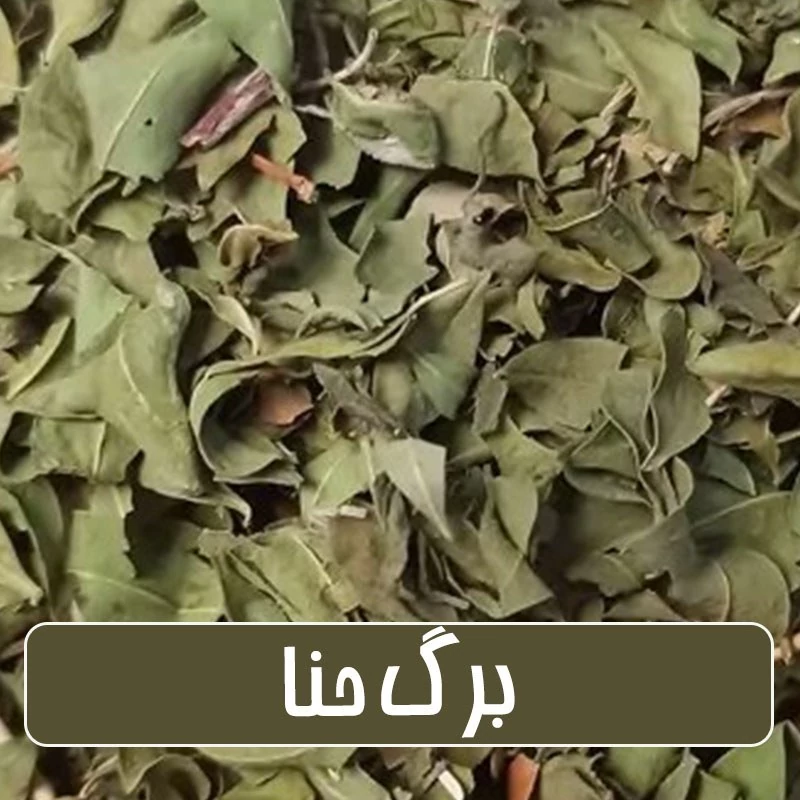 برگ حنا شهداد مطابق تصویر - طبیعت خنک 250 گرمی