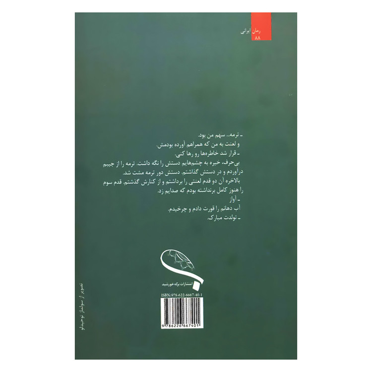 کتاب نیمه ی کال اثر ف.صفایی فرد انتشارات برکه خورشید