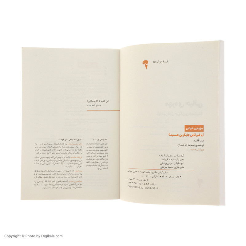 کتاب مهرهی حیاتی اثر ست گادین نشر آموخته