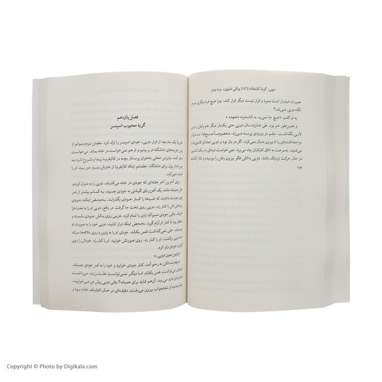 کتاب دویی گربه کتابخانه اثر ویکی مایرون و برت ویتر انتشارات کتاب کوله پشتی