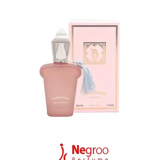 عطر ادکلن کارنشن زنانه و مردانه برندینی 33 میل