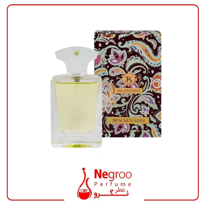 عطر ادکلن مینیاتوری براکن مردانه برندینی 33 میل | Brandini Bracken