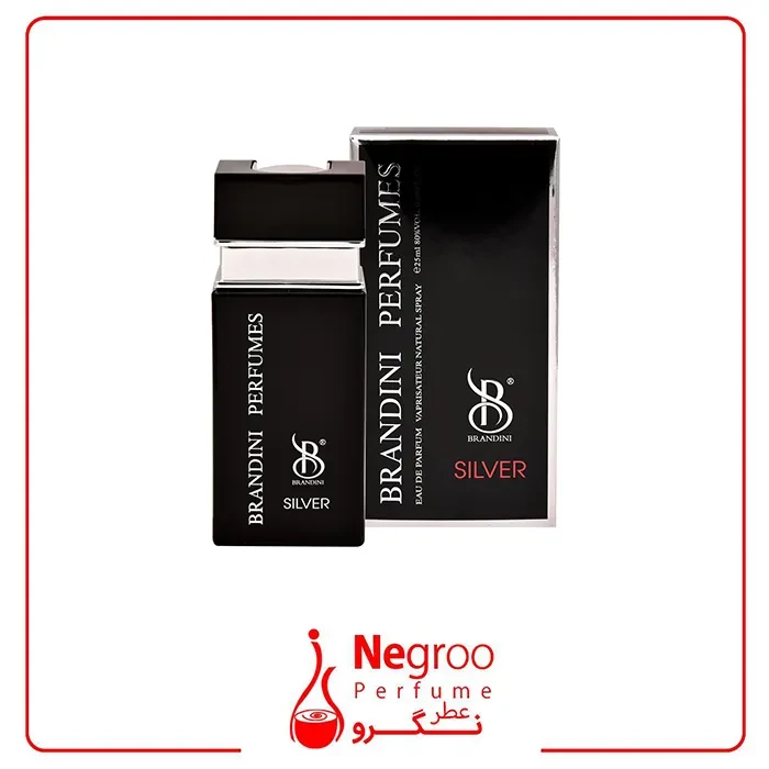 عطر جیبی مردانه برندینی مدل Silver حجم 25 میلی لیتر