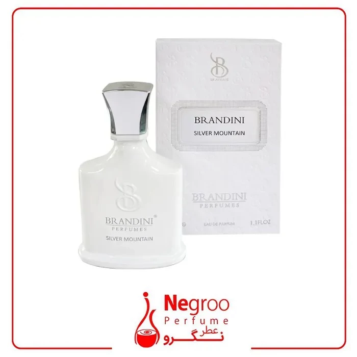 عطر جیبی برندینی مدل Silver Mountain حجم 33 میلی لیتر
