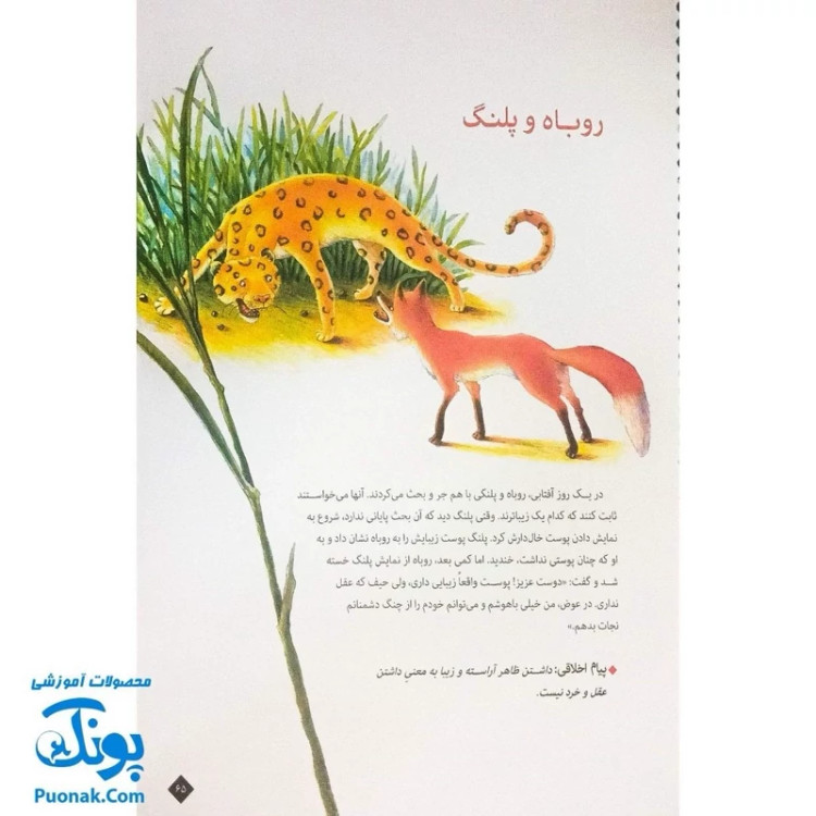 کتاب 101 قصه از دنیای حیوانات - افسانههای آموزنده ازوپ